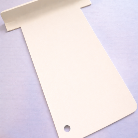 Ral 1013 Polyester Matt