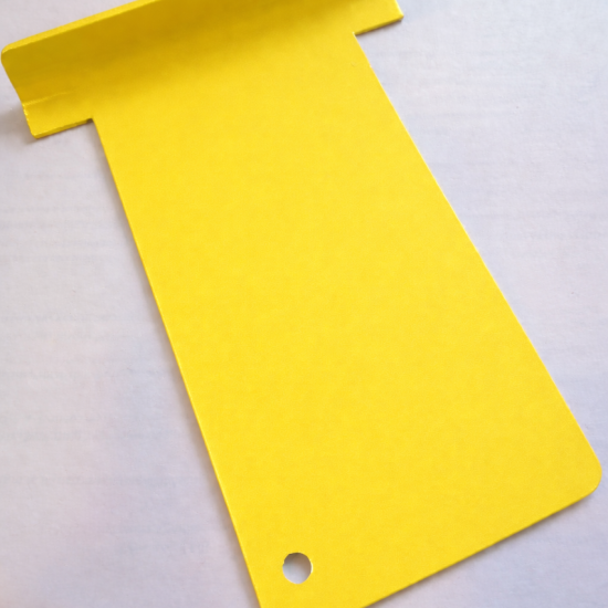 Ral 1018 Polyester Matt